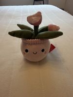 Peluche plante fleur kawaii mignon - déco 