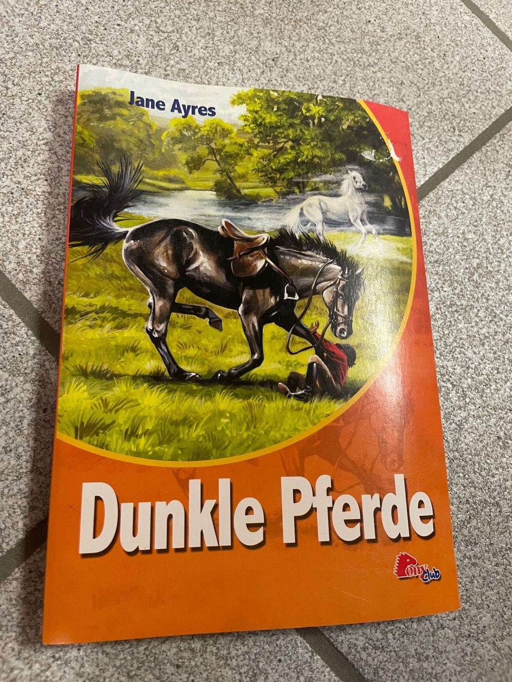 Bücher: Jane Ayres - Dunkle Pferde – Gebraucht aus Eschen von books_and_more