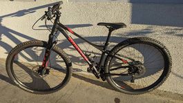 MTB Hardtail Wheeler EAGLE 4.9