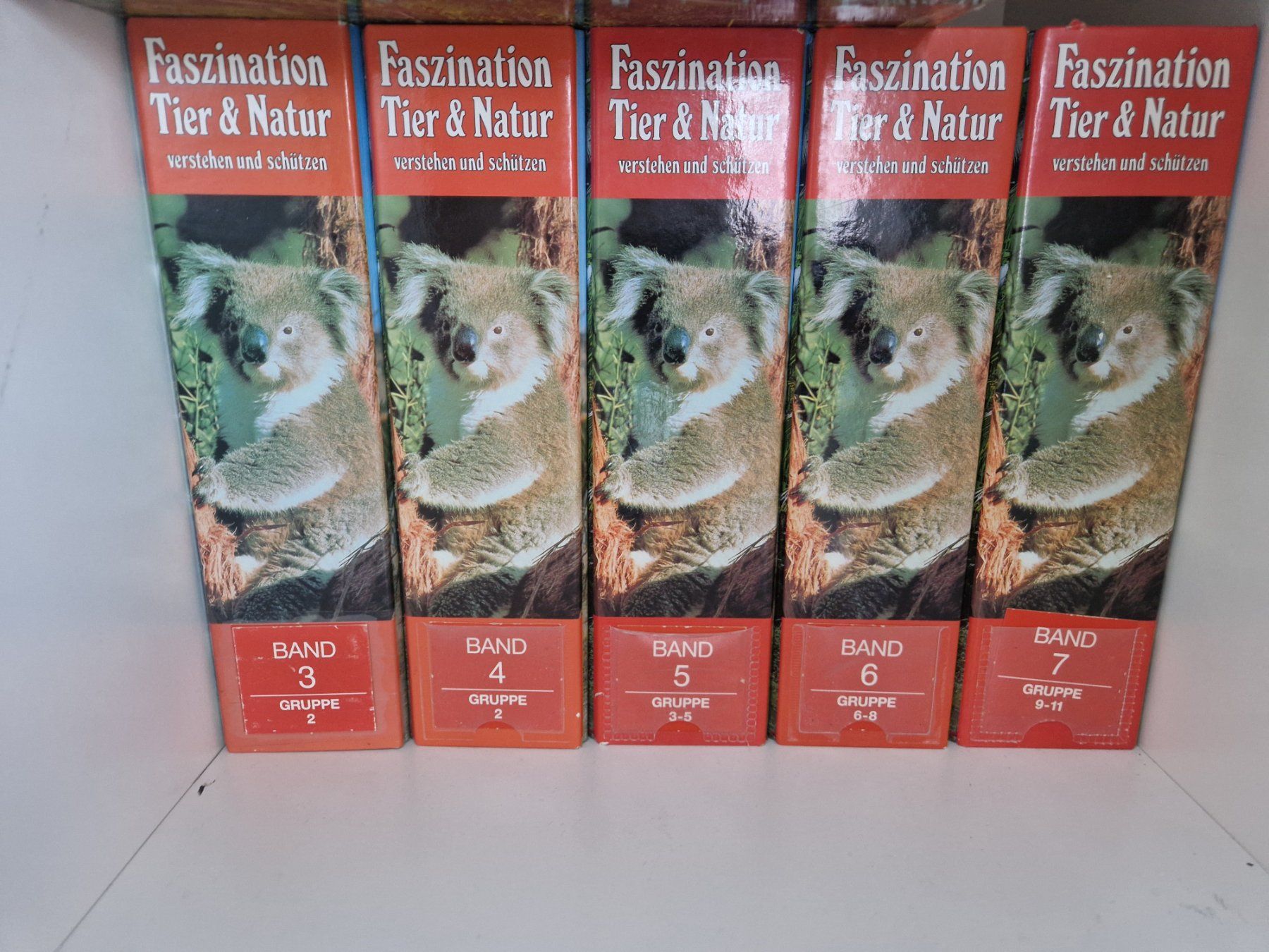 Libri: Faszination Tier & Natur – Usato da Lotzwil venduto da DonGavallo