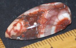 Cabochon L-784 – Vogel Augen Jaspis