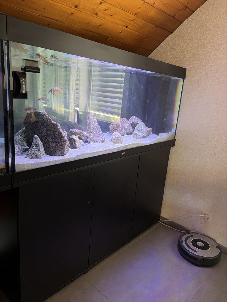 Aquarium: Juwel 450 LED – Gebraucht aus Reinach AG von joy_q2gl 1