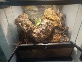 Exo Terra 30x30x30