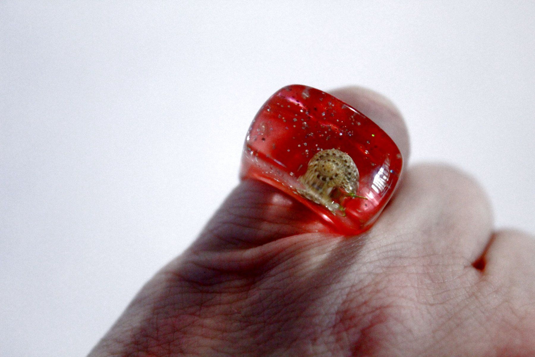 Ringe: Vintage Space-Age - Ring mit Muschel, Seestern, Seeigel, usw – Neu (gemäss Beschreibung) aus Bern von Vitaneuf