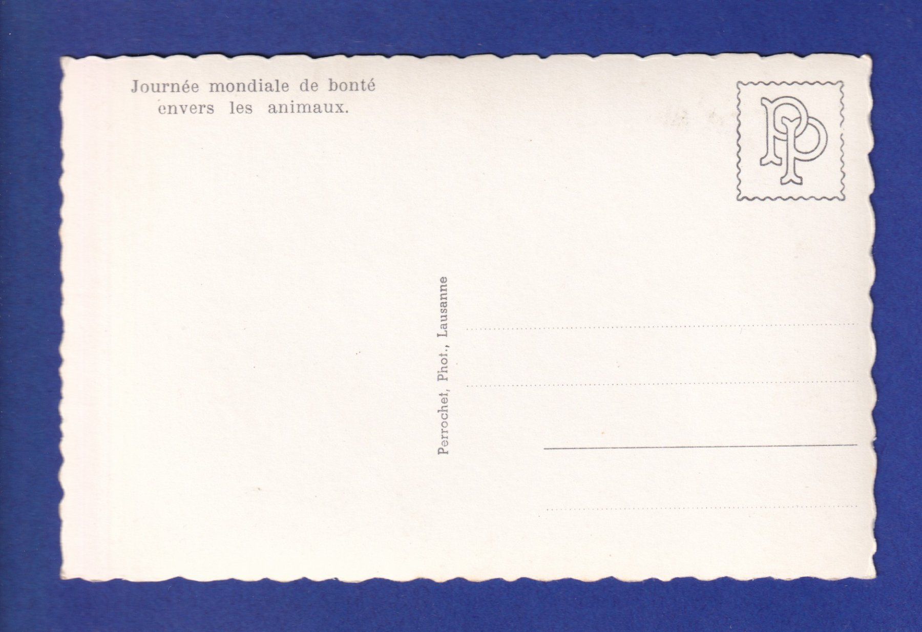 Cartoline postali: CHIEN - Cocker – Usato da Pully venduto da nicecards-shop 1