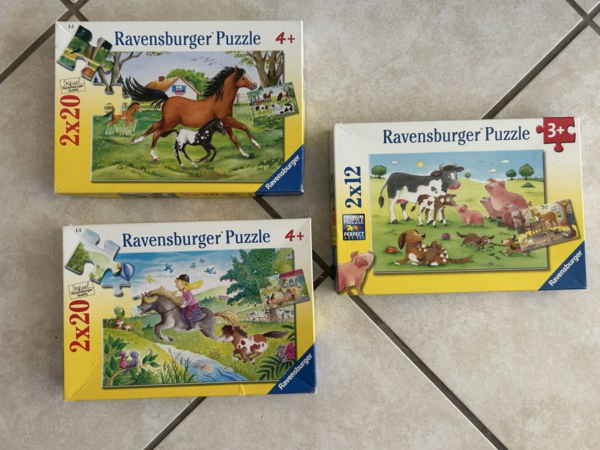 Ravensburger Puzzle: Ravensburger Puzzle, verschieden – Usato da Sarnen venduto da MPH83