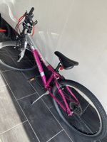 Velo 26” pink Silver