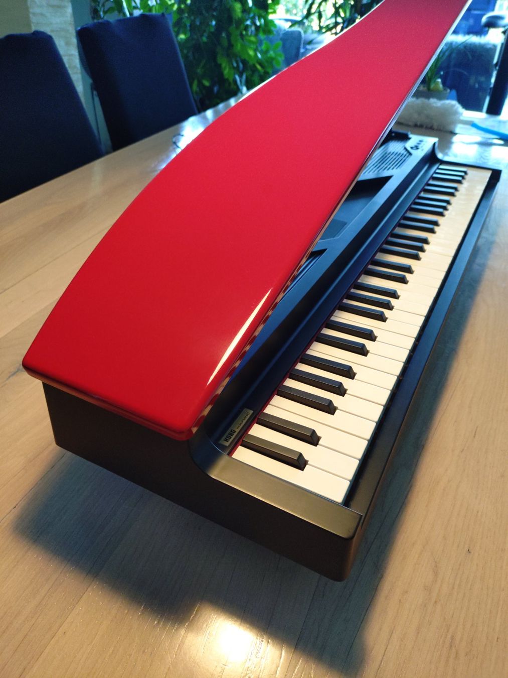 Korg Strumenti musicali: Korg MicroPiano – Usato da Aegerten venduto da vou_89zl 3