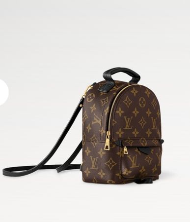 Louis Vuitton Palm Springs mini
