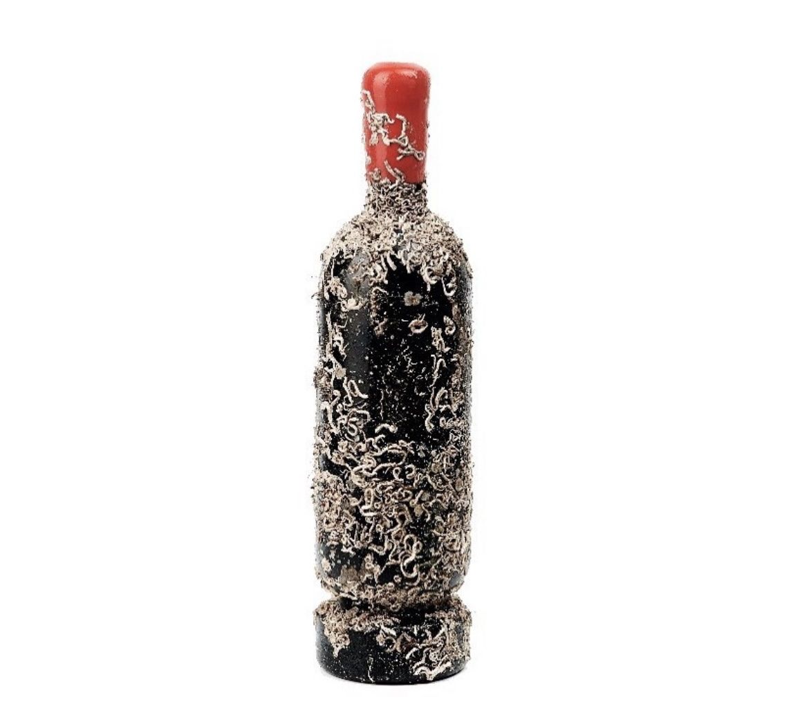 Vino: Vin sous-marin Ribera del Duero – Nuovo e nell'imballaggio originale da St-Prex venduto da mar_f6t6