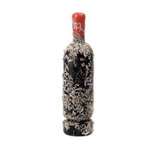 Vin sous-marin Ribera del Duero