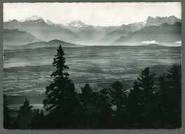 AK sw Chasseron VD Vue du sommet:Le Léman et les Alpes≈1965
