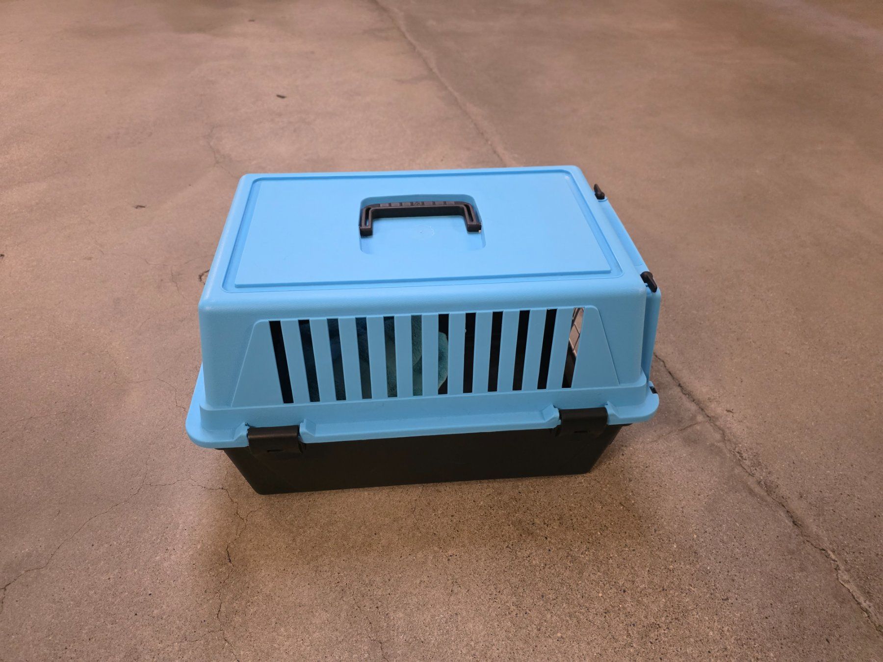 Gabbie, trasporto & Sicurezza: Katzentransportbox – Usato da Dübendorf venduto da giu_6qg2