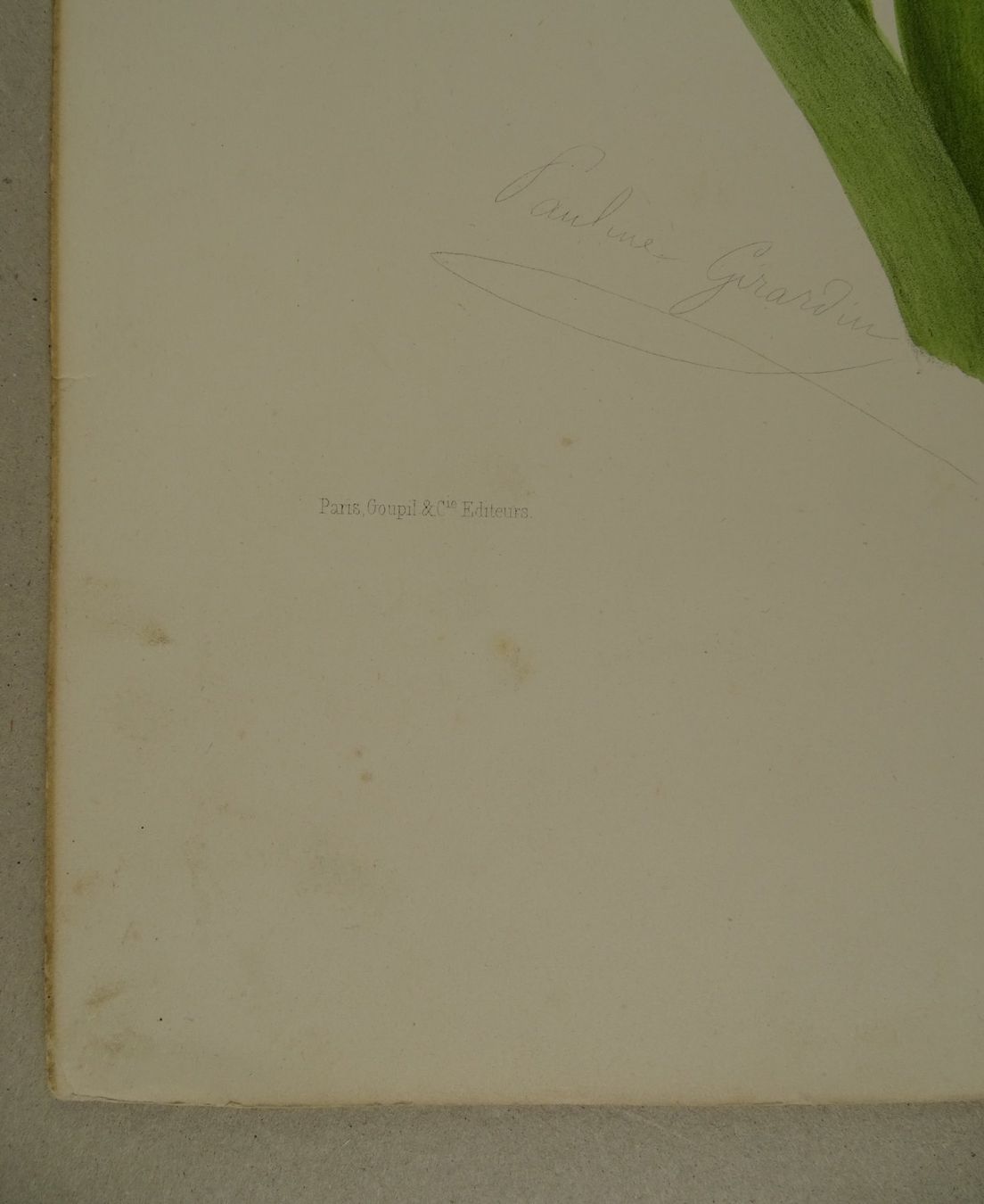 Incisioni: JACINTHE, HYAZINTHE, LITHOGRAPHIE UM 1850 – Usato da Grüningen venduto da Kartensammler 2
