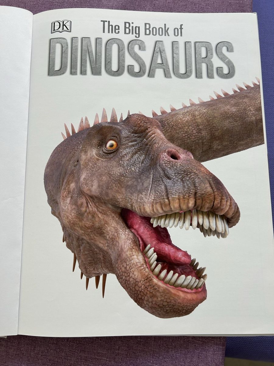 Libri: Dinosaurier Buch (Englisch) – Usato da Heiligkreuz (Mels) venduto da Oldtimerfan03 1