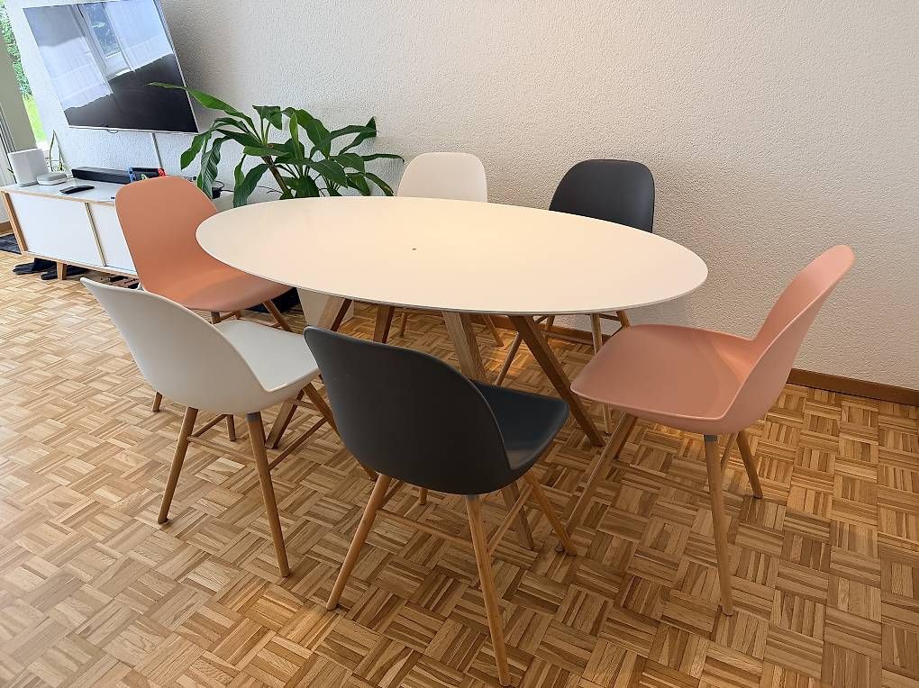Micasa Set di tavolo e panche: Ovaler Esstisch und Esszimmerstühle – Usato da Thalwil venduto da gbrowarnik 1