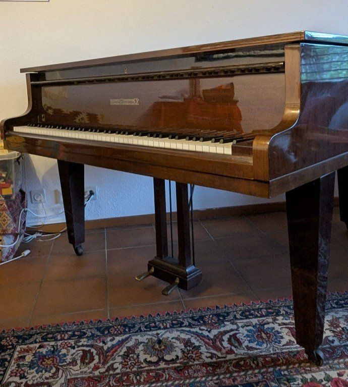 Strumenti musicali: Piano à queue – Usato da TANNAY venduto da Berkoricar 4