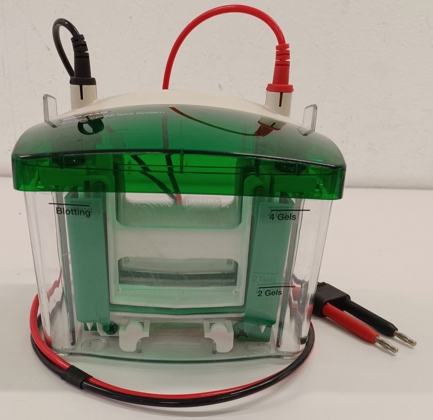 Accessori da laboratorio: Bio-Rad Mini PROTEAN Tetra Cell – Difettoso da Niederdorf venduto da LeptonAG_Labor 1