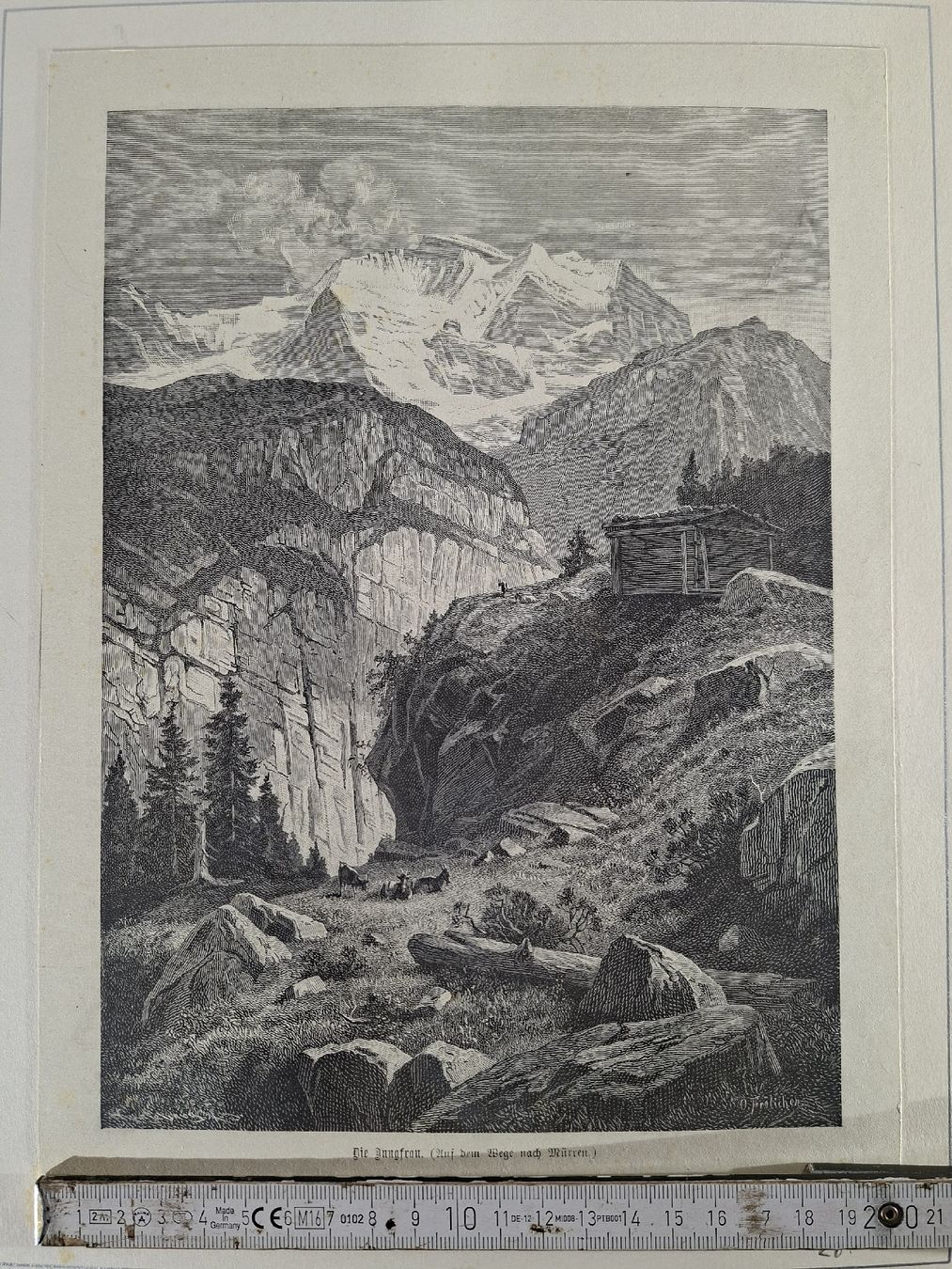 Incisioni: Lot 73 , 5 Stiche gross – Usato da Grindelwald venduto da carro5 5