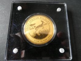 Legacy of Gold Coins - 1/200 Unze Feingold - African Wild 4