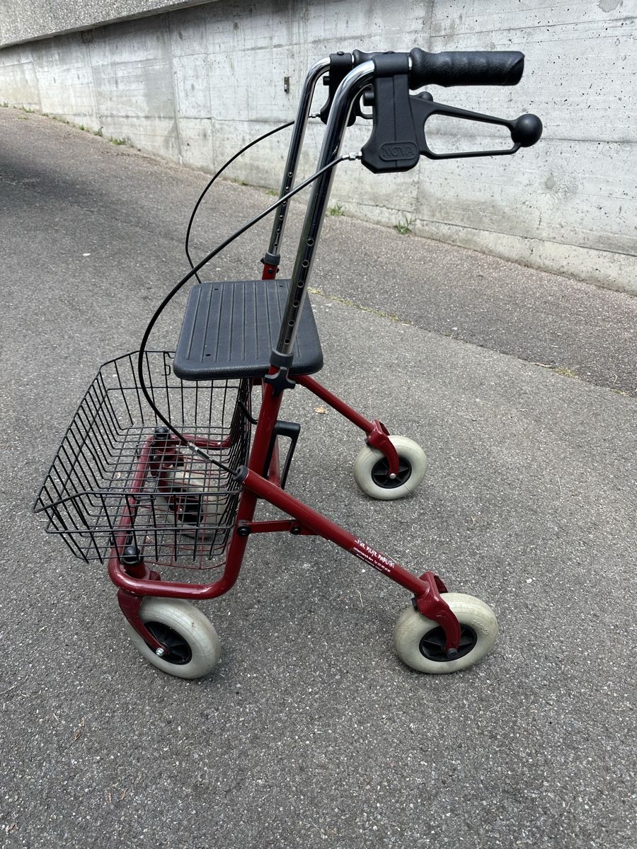 Ausili per la deambulazione: rollator – Usato da Uttigen venduto da edu_jn6l 1