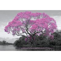 Poster Tree Blossom