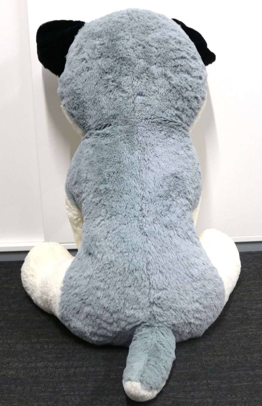 Jouets: Grosser Plüsch-Husky – D'occasion à Volketswil par brockipfannenstil 3