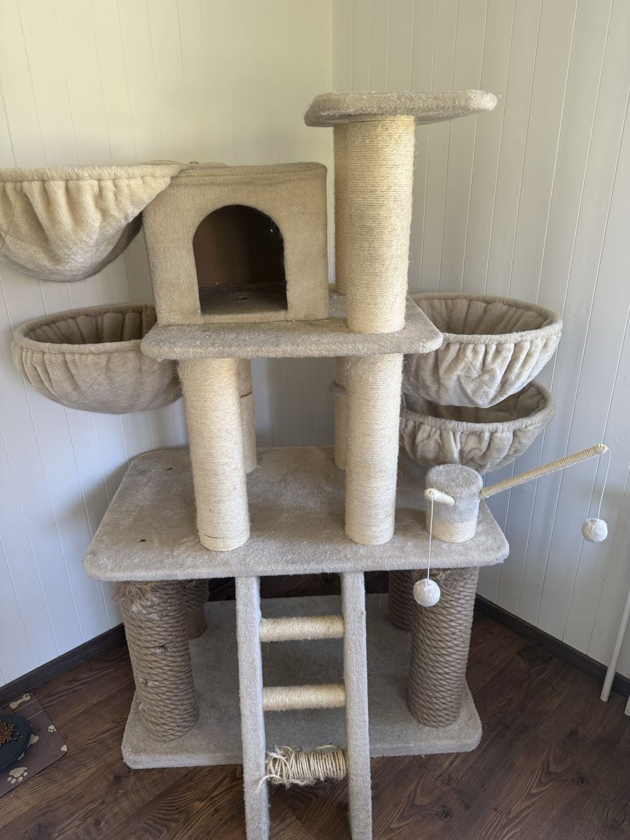 Katzenbaum - Kratzbaum: Grosser Kratzbaum beige – Gebraucht aus Plasselb von Fribi18nick