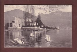 CLARENS - Île de Salagnon - Cygnes - 1913