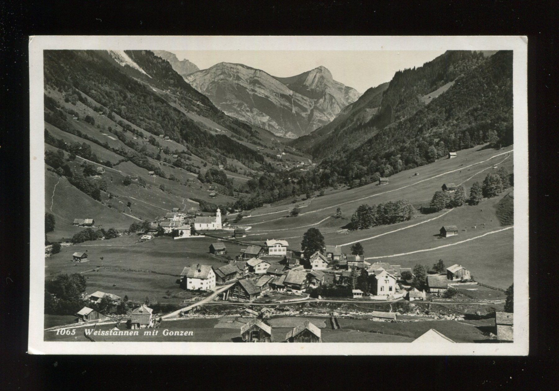 Cartoline postali: Weisstannen mit Gonzen – Usato da Aarau venduto da Elmaar41