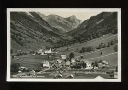 Weisstannen mit Gonzen