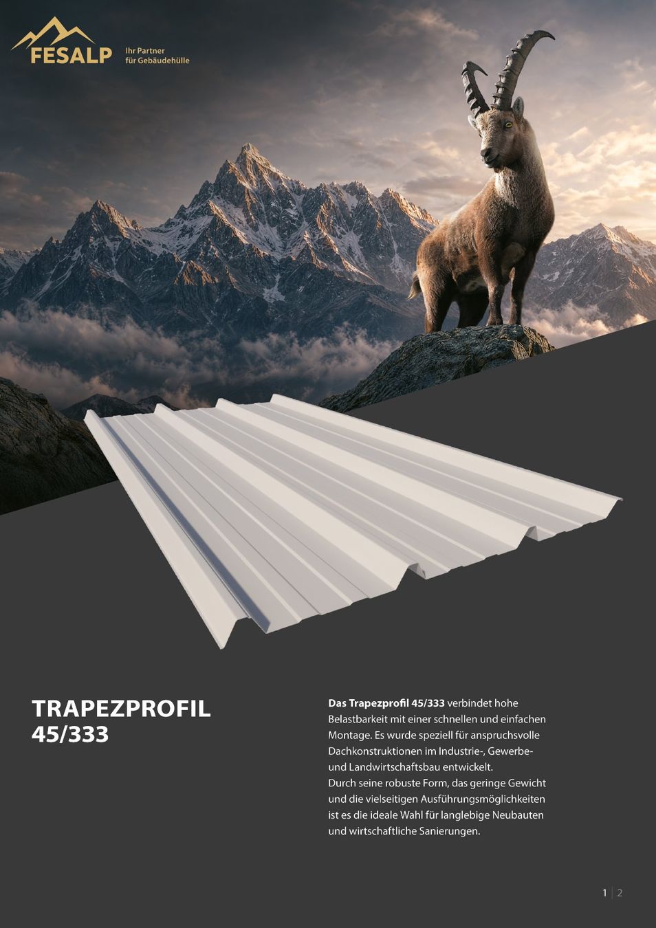 Autres matériaux de construction: Trapezblech/ Holzabdeckung/ Scheunendach/Restposten – Neuf avec emballage d'origine à Vaduz par FESALP 2