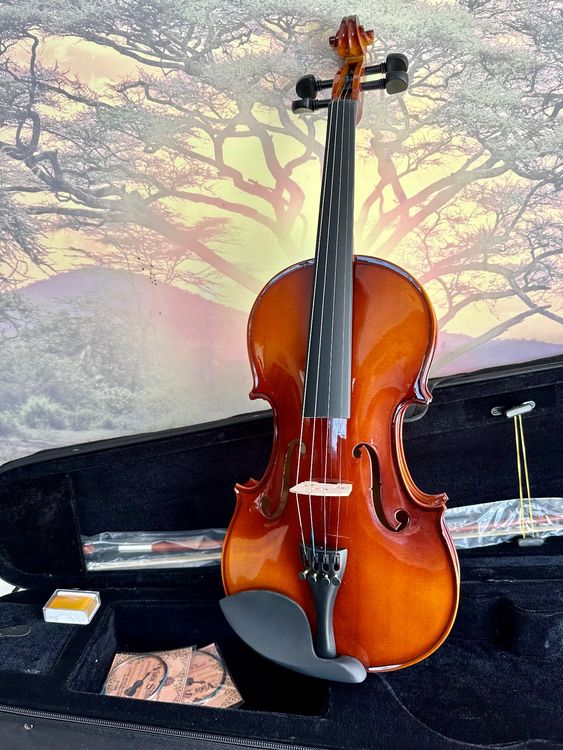5 Stück Ahorn Violine Brücke Set, 1/4 Größe, Hochwertige Holz Geigenbrücke, Musikinstrument Zubehör mit Präziser Verjüngung für Verbesserte Klangliche