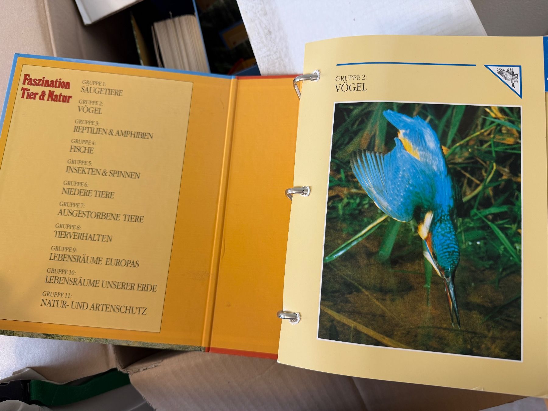 Bücher: Faszination Tier & Natur – Gebraucht aus Meilen von Comar 1