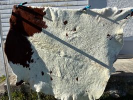 echtes Texas Longhorn Leder/Fell