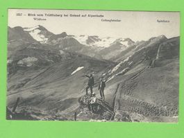 Blick vom Trüttlisberg bei Gstaad auf Alpenkette