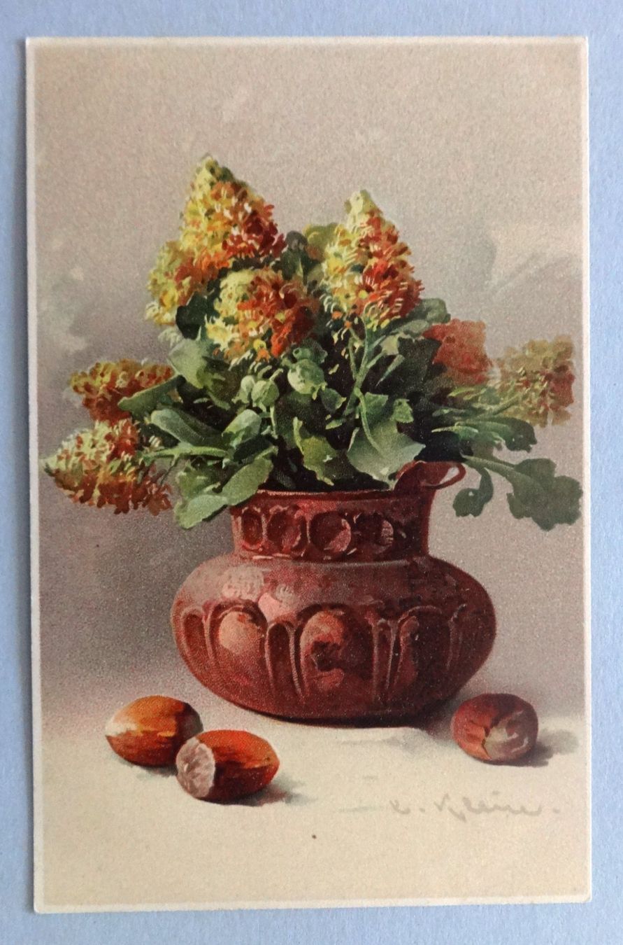 Cartoline postali: Bouquet de fleurs et noisettes – Usato da Fétigny venduto da Billy2miny