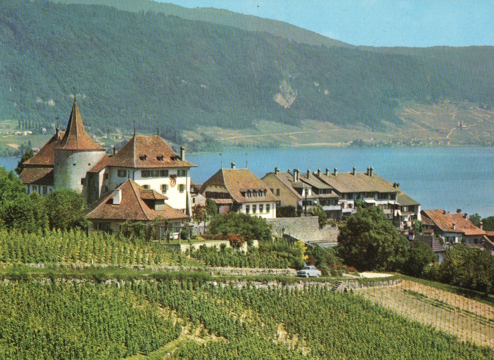 Cartoline postali: Erlach - Das Schloss – Nuovo (secondo la descrizione) da Melano venduto da pisonsdro