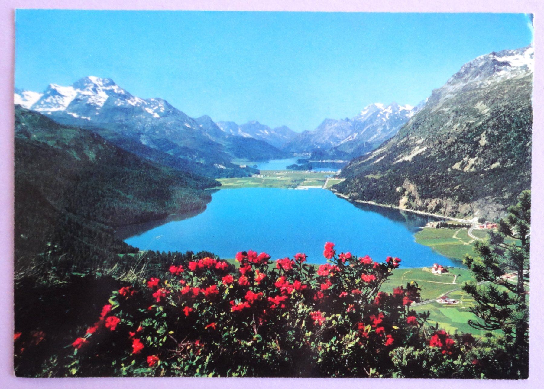 Cartoline postali: Silvaplaner- und Silsersee – Usato da Fétigny venduto da Billy2miny