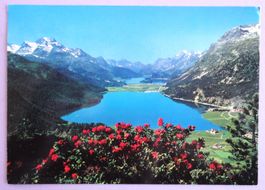 Silvaplaner- und Silsersee