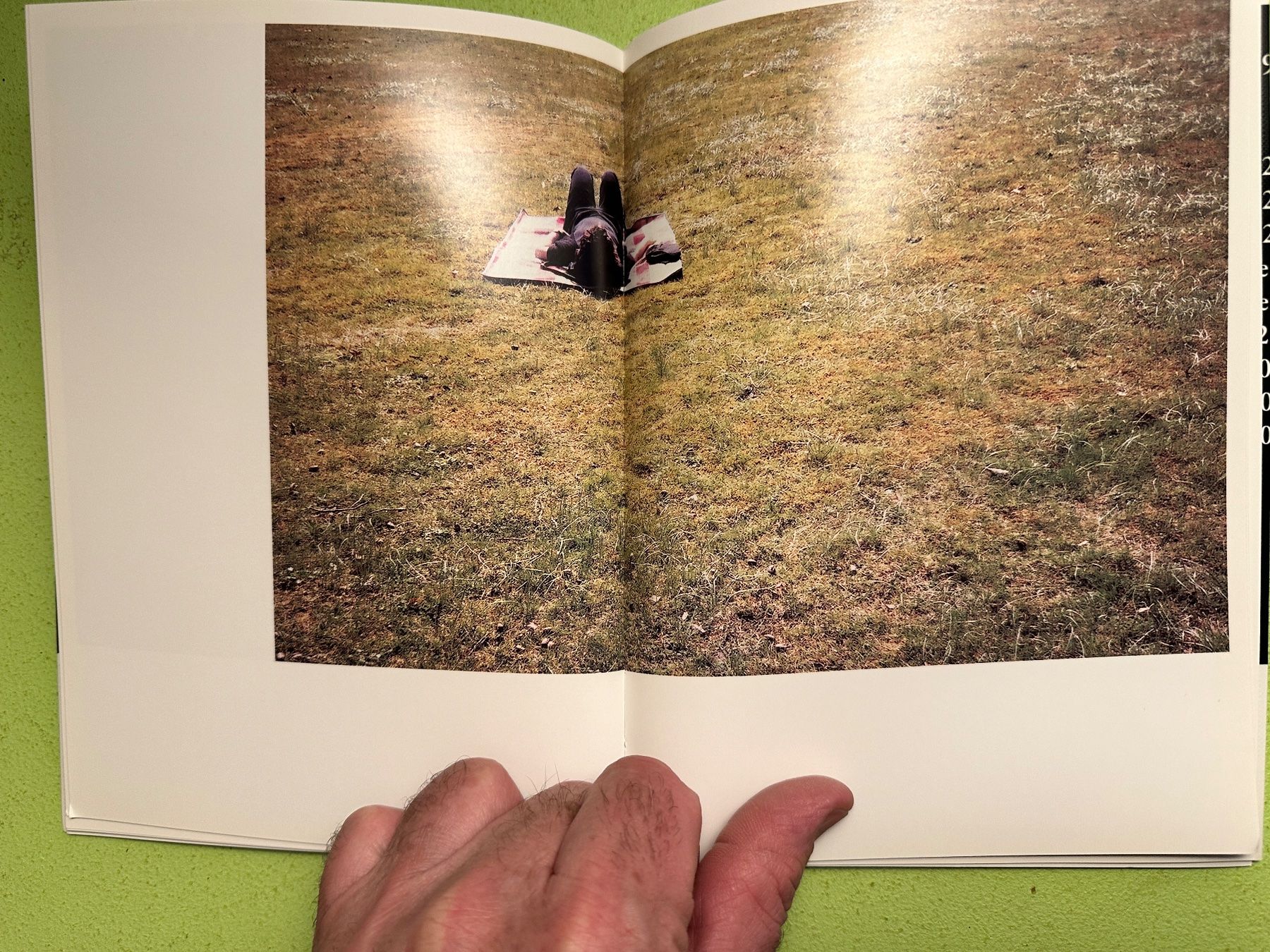 Libri: Erik Steinbrecher: 'Gras' – Usato da Zürich venduto da allp 4