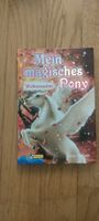 Mein magisches Pony