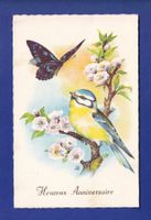 OISEAU - Mésange et Papillon
