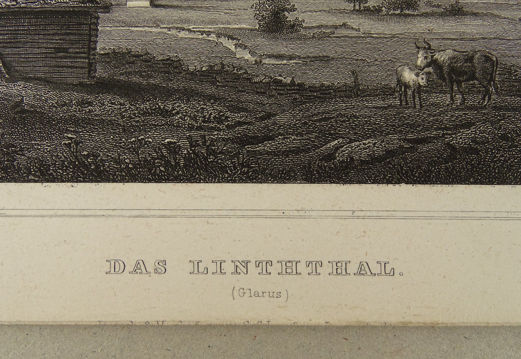 Incisioni: DAS LINTHTAL, GLARUS, STAHLSTICH NACH ROHBOCK 1870 – Usato da Grüningen venduto da Kartensammler 6