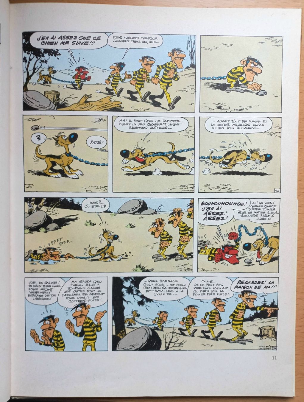 Fumetti: BD Comic - Lucky Luke - Ma Dalton - français – Usato da Niederuzwil venduto da lubimaja 2