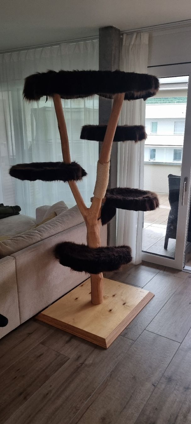Tiragraffi: Designer Kratzbaum mit 5 Ebenen aus Echtholz – Usato da Hunzenschwil venduto da niicoo 6