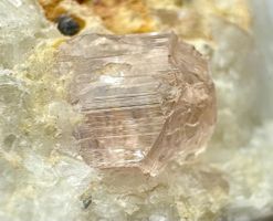 Rosa Topas auf Matrix – Katlang, Pakistan 🇵🇰