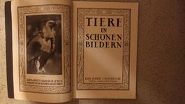 Tiere in schönen Bilder 1957