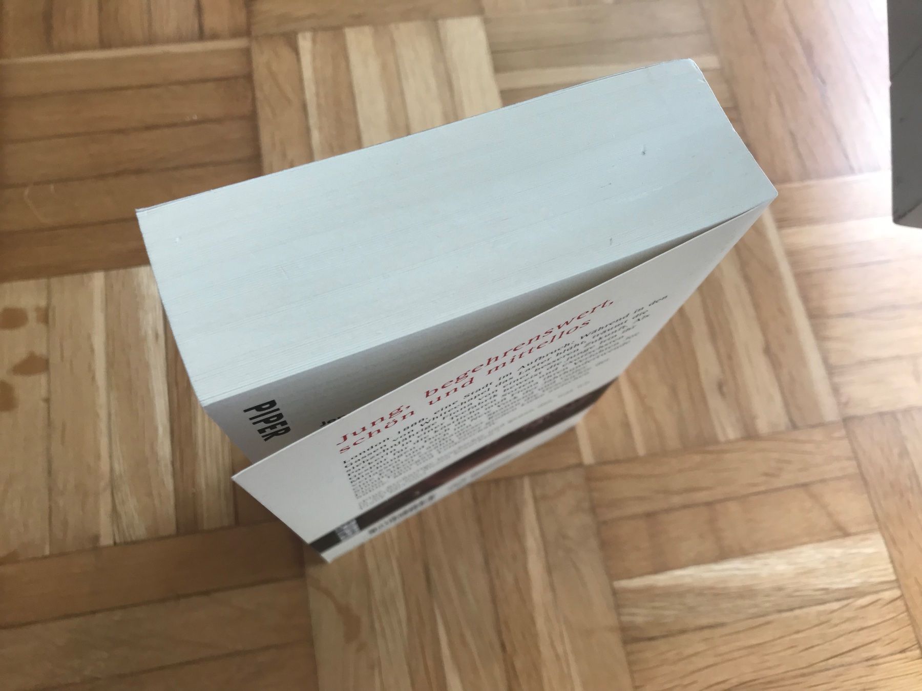 Bücher: Jennifer Donnelly - Die Teerose – Gebraucht aus Emmenbrücke von Hathor123 2