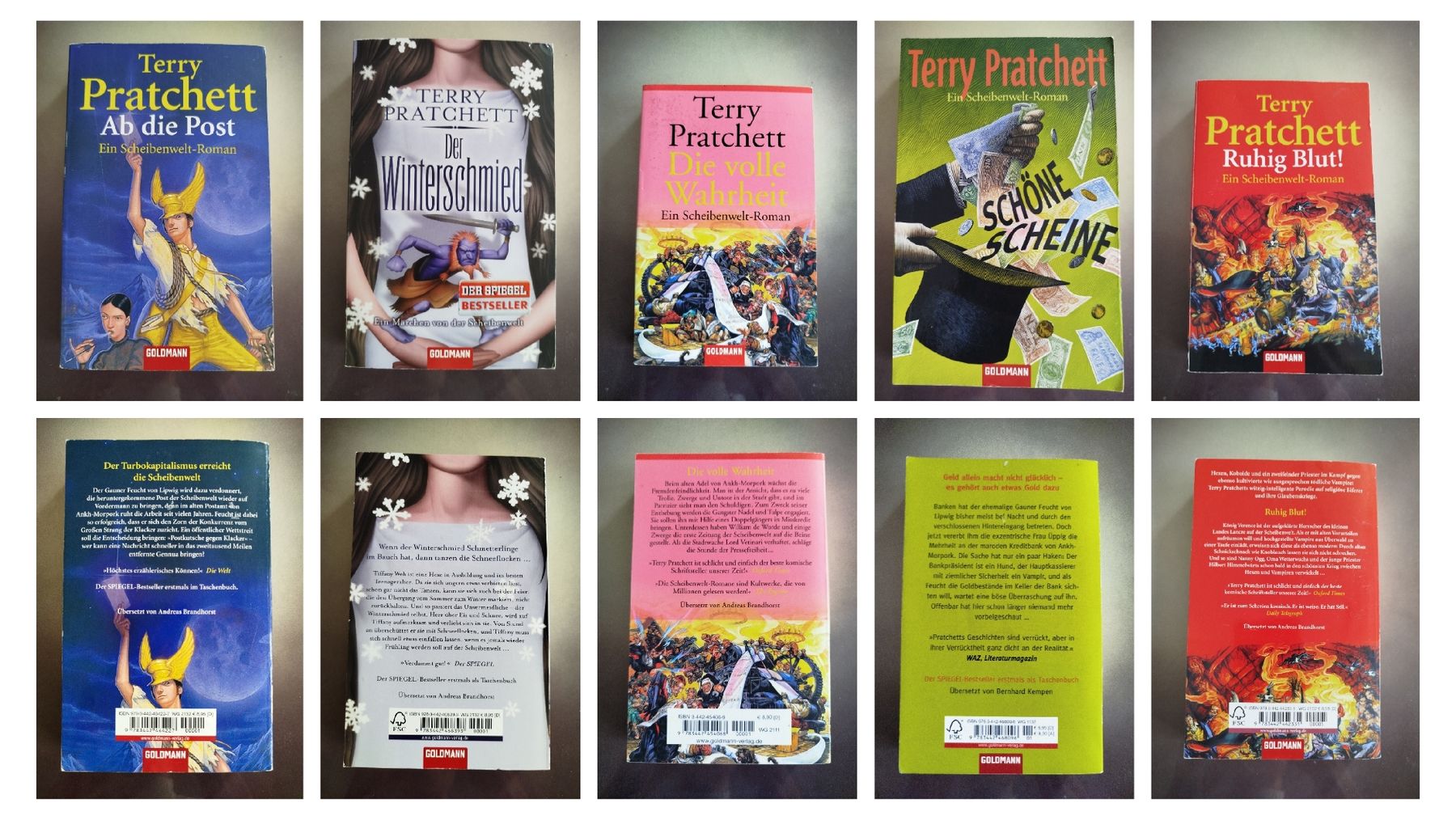 Libri: 14 Scheibenwelt Bücher - Terry Pratchett – Usato da St. Gallen venduto da jbu_ns6v 1